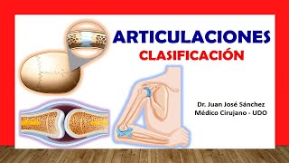 🥇 ARTICULACIONES Clasificación Fácil Rápida y Sencilla [upl. by Devol]