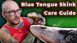 Blue Tongue Skink Care Guide 2024 [upl. by Eidnalem]