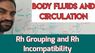 Rh Grouping and Rh incompatibility [upl. by Nehgam]