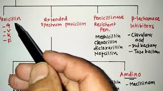 BLACTUM ANTIBIOTICS WITH TRICKS 1PENICILLIN  RRB PHARMACIST EXAM  GPAT  ESIC  PART 45 [upl. by Adnawuj]