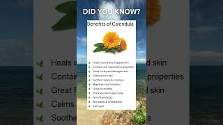 Health Benefits of Calendula [upl. by Kosiur]