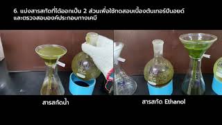 Phytochemical screening Terpenoid [upl. by Aretak515]