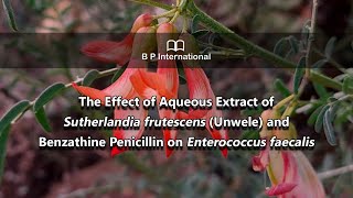 The Effect of Aqueous Extract of Sutherlandia frutescens Unwele and Benzathine Penicillin [upl. by Lap]