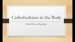 Carbohydrates in the Body [upl. by Foote]