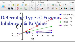 Lineweaver Burk Plot Km and Vmax explained [upl. by Kanter]