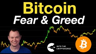 Bitcoin Fear and Greed [upl. by Annorah]