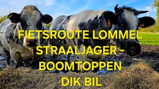 Fietsen door boomtoppen Lommel Begraafplaats Dikbil koeien Straaljager en meer 4K [upl. by Kimura]