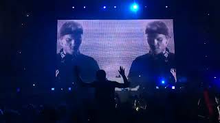 Levels  Avicii at ElectroBeach Festival 2015 [upl. by Hyams]