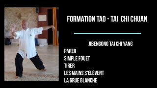 Formation TAO  Ji Ben Gong Taichi Yang [upl. by Ynnohj253]