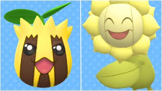 FULL SUNKERN EVOLUTION TEAM Shiny Sunkern Shiny Sunflora  How To Use Sunflora [upl. by Yerffoj84]