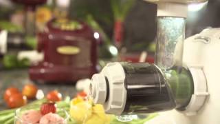 MATSTONE MULTIPURPOSE SLOW JUICER BRAND VIDEO [upl. by Nawuq]