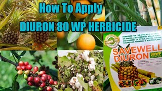 How To Apply Diuron 80 WP Herbicide [upl. by Leumel]