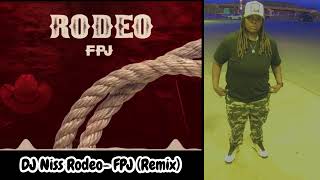 DJ Niss RodeoFPJ Remix [upl. by Asenaj233]