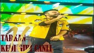 Tarkan  Kedi Gibi Harbiye Açık Hava 2017 HD Canlı Performans 10 Albümü [upl. by Pearce]