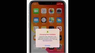 Liquid detected in lightning connector Iphone 13 Fix [upl. by Agathe]