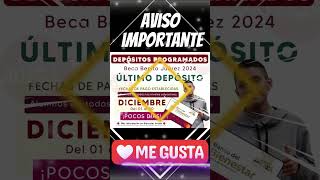 📌💸A menos de una semana para comenzar con operativo de pagos a becarios en todo el país [upl. by Ramsay]