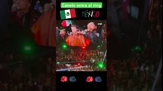 ¡ENTRADA TRIUNFAL DEL CANELO AL RING ANTE BERLANGA canelo [upl. by Dolora]