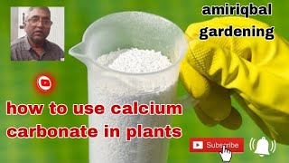 how to use calcium carbonate in plants 10102024 [upl. by Eerb74]