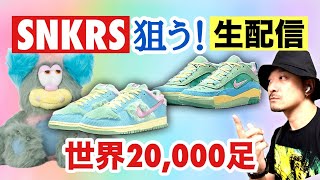 生配信中 SNKRSでヴェルディ×ナイキ SBダンクとエアマックイショッドを狙う！ [upl. by Marni]