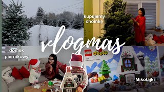 🎁 VLOGMAS 5  Mikołajki kupujemy choinkę ❤️ [upl. by Nnylhsa]