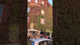 Trastevere Rome italy travel rome Trastevere [upl. by Lusa]