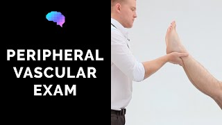 Peripheral Vascular Examination  OSCE Guide Latest  UKMLA  CPSA [upl. by Lilli]