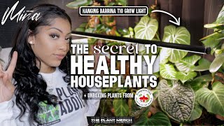 THE SECRET TO HEALTHY HOUSEPLANTS [upl. by Aredna]