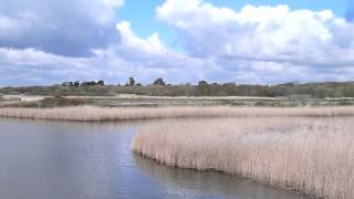 Solent Way  LeeonSolent to Warsash  Weekend Walk 35 [upl. by Alig969]