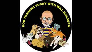 83 PET TALK TODAY with Certified Dog Behavior Consultant Will Bangura [upl. by Nnaul]