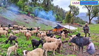 Discovering the Unspoiled Beauty of Rural Nepali Mountain Village Life living In Balance With Nature [upl. by Quin569]