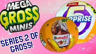 THE GROSSNESS RETURNS  Mega Gross Minis  Series 2  Adult Collector Review amp Toy Unboxing [upl. by Leirum864]