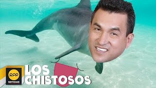 Los Chistosos RPP│ Conozcamos al delfín [upl. by Christianson299]