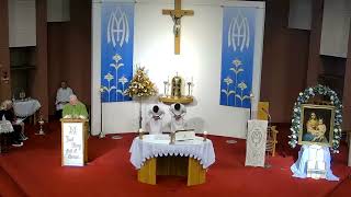 28th Sunday in Ordinary Time  7pm Vigil Mass [upl. by Ailahs]