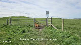 Bailey Dog Avebury to Windmill Hill 30042024 [upl. by Elli774]