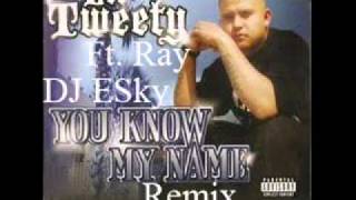 Lil Tweety Ft Ray  Set You Free Instrumental Remix DJ ESky [upl. by Nirac330]