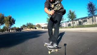 My best tre flips 2024 [upl. by Keeton]