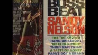 Sandy Nelson  Teen Beat [upl. by Stamata]