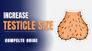 How to Increase Testicle Size  Detailed Guide with Proven Tips amp Techniques  Backed By Studies [upl. by Gallagher]