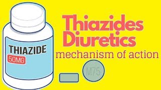 Thiazides Mechanism Of Action ANIMATED [upl. by Oba]