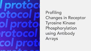 Profiling Changes in Receptor Tyrosine Kinase Phosphorylation using Antibody Arrays [upl. by Eyar882]