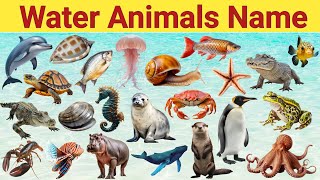 20 Water Animals Name  Water Animals Name In Hindi And English  Sea Animals Name [upl. by Haleigh953]