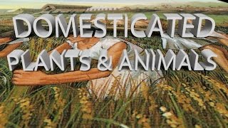 HIST 1121 Lesson 9  Domesticated Plants amp Animals [upl. by Yehus]