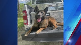 Former deputy charged in Wabash County K9s death [upl. by Friedrick]