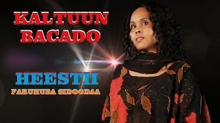 KALTUUN BACADO  FARUHUBA SIDOODA  OFFICIAL VIDEO [upl. by Aoht]