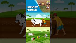 Meaning amp Characteristics of Intensive Subsistence Farming  shorts geography upsc farming [upl. by Alexandre]