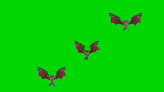 Bat Green Screen  Free Bat Flying Video [upl. by Mcnally]