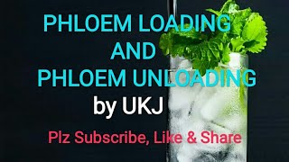 PHLOEM LOADING AND UNLOADING [upl. by Ecad]