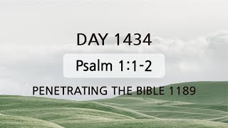 Tefillin Day 1434 Psalm 112 ​Repeating verses 5 [upl. by Doomham]