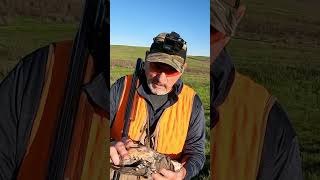 Chukars chukarhunting chukar uplandhunting hunting birdhunt pheasanthunting quailhunting [upl. by Ecirtemed]