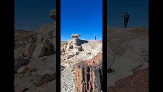 Petrified Forest National Park Arizona USA [upl. by Ateekahs490]